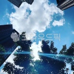 도심, 구름, 나무, 건물, 하늘빛하늘, 사진,이미지,일러스트,캘리그라피 - AnnepopArt작가 크라우드픽 - 저작권 걱정 없는 상업용 이미지