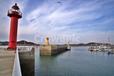 전곡항, 전곡마리나, 화성시, 계류장, 바다, 사진,이미지,일러스트,캘리그라피 - Deep bLUE작가 크라우드픽 - 저작권 걱정 없는 상업용 이미지