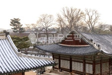 궁궐, 눈내린창경궁, 창경궁, 조선시대왕궁, 기와지붕, 사진,이미지,일러스트,캘리그라피 - 조하운해작가 크라우드픽 - 저작권 걱정 없는 상업용... 