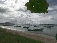 watercraft, 선박, 물, water, 어촌, 사진,이미지,일러스트,캘리그라피 - Jiuzziu작가 크라우드픽 - 저작권 걱정 없는 상업용 이미지