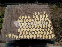 호박, 호박말리기, 시골, 부채꼴, 싸리, 사진,이미지,일러스트,캘리그라피 - 와촌농장작가 크라우드픽 - 저작권 걱정 없는 상업용 이미지