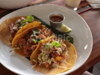 타코, taco, 부리또, 부리토, burrito, 사진,이미지,일러스트,캘리그라피 - Ostekage작가 크라우드픽 - 저작권 걱정 없는 상업용 이미지