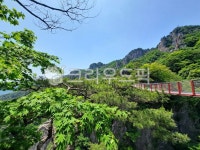 대둔산출렁다리, 대둔산, 출렁다리, 공중다리, 하늘다리, 사진,이미지,일러스트,캘리그라피 - pdgbok작가 크라우드픽 - 저작권 걱정 없는 상업용... 