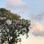 나무, 자연, 노을, 하늘, 공원, 사진,이미지,일러스트,캘리그라피 - 이나작가작가 크라우드픽 - 저작권 걱정 없는 상업용 이미지