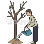 식목일, 4월5일, 나무심기, 나무, 묘목, 사진,이미지,일러스트,캘리그라피 - newzing작가 크라우드픽 - 저작권 걱정 없는 상업용 이미지