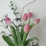 꽃, 꽃꽂이, 튤립, flower, 취미, 사진,이미지,일러스트,캘리그라피 - 형서작가 크라우드픽 - 저작권 걱정 없는 상업용 이미지