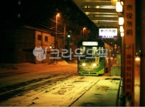 버스정류장, 옥외, 자연, 트램, 하코다테, 사진,이미지,일러스트,캘리그라피 - 다루엘라작가 크라우드픽 - 저작권 걱정 없는 상업용 이미지