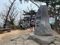 산, 매봉산, 매봉, 정상, mountain, 사진,이미지,일러스트,캘리그라피 - 하하호호헤헤작가 크라우드픽 - 저작권 걱정 없는 상업용 이미지