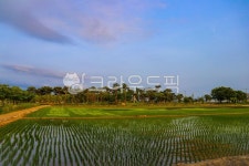 자연, 농장, farm, nature, 농사, 사진,이미지,일러스트,캘리그라피 - 소범작가 크라우드픽 - 저작권 걱정 없는 상업용 이미지