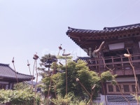 한옥, 한옥마을, 솟대, 수원, 전통가옥, 사진,이미지,일러스트,캘리그라피 - Nkhhoa작가 크라우드픽 - 저작권 걱정 없는 상업용 이미지