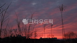 새해, 일출, 구름, 새벽, dawn, 사진,이미지,일러스트,캘리그라피 - MOLN작가 크라우드픽 - 저작권 걱정 없는 상업용 이미지