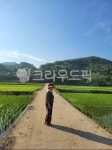 여성, 시골, 가을, 농장, 걷는, 사진,이미지,일러스트,캘리그라피 - 미루나무1작가 크라우드픽 - 저작권 걱정 없는 상업용 이미지
