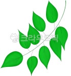 leaf, 잎, green, 녹색, 이파리, 사진,이미지,일러스트,캘리그라피 - 2gong2작가 크라우드픽 - 저작권 걱정 없는 상업용 이미지