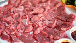 뭉티기, 소고기, 생고기, 육사시미, meat, 사진,이미지,일러스트,캘리그라피 - 꼬신작가 크라우드픽 - 저작권 걱정 없는 상업용 이미지