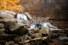 풍경, 배경, 계곡, 폭포, 물살, 사진,이미지,일러스트,캘리그라피 - 원프로작가 크라우드픽 - 저작권 걱정 없는 상업용 이미지
