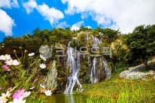 폭포, 인공폭포, 물, 구절초, 흰색꽃, 사진,이미지,일러스트,캘리그라피 - 데이비드강작가 크라우드픽 - 저작권 걱정 없는 상업용 이미지