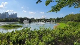 쌍암공원, 분수, 호수, 광주쌍암공원, 호수의분수, 사진,이미지,일러스트,캘리그라피 - 숙자이모 작가 크라우드픽 - 저작권 걱정 없는 상업용 이미지