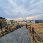 난간, jejuisland, jeju, 제주도, 해오름, 사진,이미지,일러스트,캘리그라피 - Mooter작가 크라우드픽 - 저작권 걱정 없는 상업용 이미지