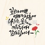 청춘, 감사인사, 어버이날, 가정의달, 엄마, 사진,이미지,일러스트,캘리그라피 - 쩡이글씨작가 크라우드픽 - 저작권 걱정 없는 상업용 이미지