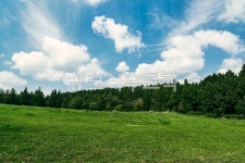 제주도, 목장, 풀밭, 초원, 산, 사진,이미지,일러스트,캘리그라피 - Kumyido작가 크라우드픽 - 저작권 걱정 없는 상업용 이미지