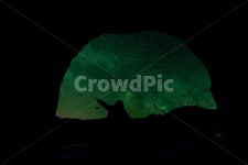 nature, 자연, outdoors, 옥외, 은하수, 사진,이미지,일러스트,캘리그라피 - 포토그래뇽작가 크라우드픽 - 저작권 걱정 없는 상업용 이미지