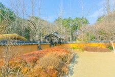 nature, 자연, 기와집, 풍경, 건물, 사진,이미지,일러스트,캘리그라피 - PICHAPPIC작가 크라우드픽 - 저작권 걱정 없는 상업용 이미지