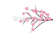 flower, 매화, 벛꽃, 줄기, 가지, 사진,이미지,일러스트,캘리그라피 - 신공이산작가 크라우드픽 - 저작권 걱정 없는 상업용 이미지