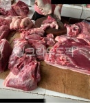 시장, 고기판매, 돼지고기, 푸줏간, 가게, 사진,이미지,일러스트,캘리그라피 - 감나무작가 크라우드픽 - 저작권 걱정 없는 상업용 이미지