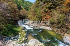 가을계곡, 계곡, 만추, 계류, 수타사, 사진,이미지,일러스트,캘리그라피 - hinari53작가 크라우드픽 - 저작권 걱정 없는 상업용 이미지