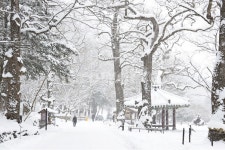 장성, 백양사, 백양사설경, 함박눈, 정자, 사진,이미지,일러스트,캘리그라피 - 영산공작가 크라우드픽 - 저작권 걱정 없는 상업용 이미지