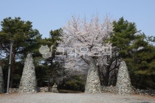 경천대, 국민관광단지, 관광지, 산, 나무, 사진,이미지,일러스트,캘리그라피 - 여여니스톡작가 크라우드픽 - 저작권 걱정 없는 상업용 이미지