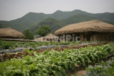 outdoors, countryside, nature, 자연, 초가집, 사진,이미지,일러스트,캘리그라피 - glensky작가 크라우드픽 - 저작권 걱정 없는 상업용... 
