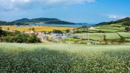 자연, nature, 옥외, outdoors, 농장, 사진,이미지,일러스트,캘리그라피 - 서은작가 크라우드픽 - 저작권 걱정 없는 상업용 이미지