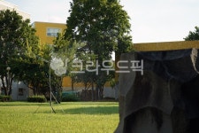 tree, treetrunk, 나무줄기, 돌, 바위, 사진,이미지,일러스트,캘리그라피 - what the fun작가 크라우드픽 - 저작권 걱정 없는 상업용 이미지
