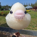 병아리, 음식, 솜사탕, 노란색, food, 사진,이미지,일러스트,캘리그라피 - 당근12작가 크라우드픽 - 저작권 걱정 없는 상업용 이미지