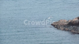 바다, 포항, 구룡포, 남구, 포항시, 사진,이미지,일러스트,캘리그라피 - 졔졔의 일상작가 크라우드픽 - 저작권 걱정 없는 상업용 이미지