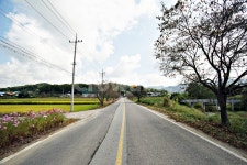 road, 도로, 아스팔트, 시골길, 풍경, 사진,이미지,일러스트,캘리그라피 - Nrjh5005작가 크라우드픽 - 저작권 걱정 없는 상업용 이미지