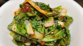 봄동, 배추, 절임배추, 한식, 반찬, 사진,이미지,일러스트,캘리그라피 - Ban Kim작가 크라우드픽 - 저작권 걱정 없는 상업용 이미지