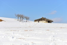 장성, 삼서, 외딴집, 외딴집설경, 겨울, 사진,이미지,일러스트,캘리그라피 - 영산공작가 크라우드픽 - 저작권 걱정 없는 상업용 이미지