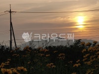 석양, 들꽃, 전신주, 노을, 유채꽃, 사진,이미지,일러스트,캘리그라피 - song09작가 크라우드픽 - 저작권 걱정 없는 상업용 이미지
