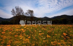 들, 옥외, 자연, 농장, 가평, 사진,이미지,일러스트,캘리그라피 - 청마작가 크라우드픽 - 저작권 걱정 없는 상업용 이미지