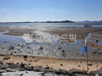 바다, sea, 갯벌, 서해, 황해, 사진,이미지,일러스트,캘리그라피 - Ntkfksk33작가 크라우드픽 - 저작권 걱정 없는 상업용 이미지
