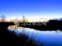 nature, 자연, 늪지대, 갈대, 반사, 사진,이미지,일러스트,캘리그라피 - Nzzim798작가 크라우드픽 - 저작권 걱정 없는 상업용 이미지