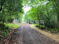 path, 길, gravel, 자갈, road, 사진,이미지,일러스트,캘리그라피 - nagan79작가 크라우드픽 - 저작권 걱정 없는 상업용 이미지