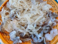 산오징어, 산오징어회, 오징어, 오징어회, 날음식, 사진,이미지,일러스트,캘리그라피 - 먹방작가 크라우드픽 - 저작권 걱정 없는 상업용 이미지