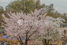 서울, 광진구, 능동, 공원, 테마파크, 사진,이미지,일러스트,캘리그라피 - imlover작가 크라우드픽 - 저작권 걱정 없는 상업용 이미지