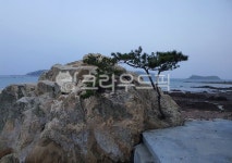 자연, 바다, 바위, 섬, nature, 사진,이미지,일러스트,캘리그라피 - usbsun작가 크라우드픽 - 저작권 걱정 없는 상업용 이미지