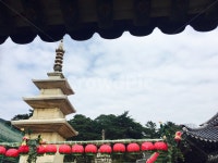 불국사, 절, 경주, 석가탑, 다보탑, 사진,이미지,일러스트,캘리그라피 - 돼지국밥작가 크라우드픽 - 저작권 걱정 없는 상업용 이미지