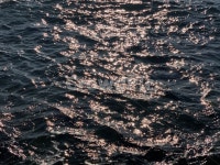 sea, 바다, 윤슬, ocean, 물, 사진,이미지,일러스트,캘리그라피 - inok작가 크라우드픽 - 저작권 걱정 없는 상업용 이미지