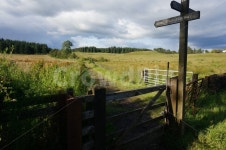 길, 산속, 목장, 울타리, 모름, 사진,이미지,일러스트,캘리그라피 - 케이권작가 크라우드픽 - 저작권 걱정 없는 상업용 이미지